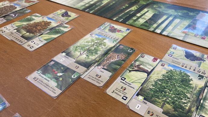 Delícia de montar o ecossistema.