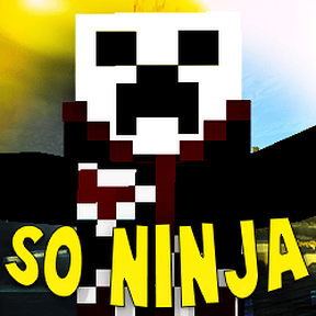 gudu_ninjax