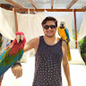 renan_costa